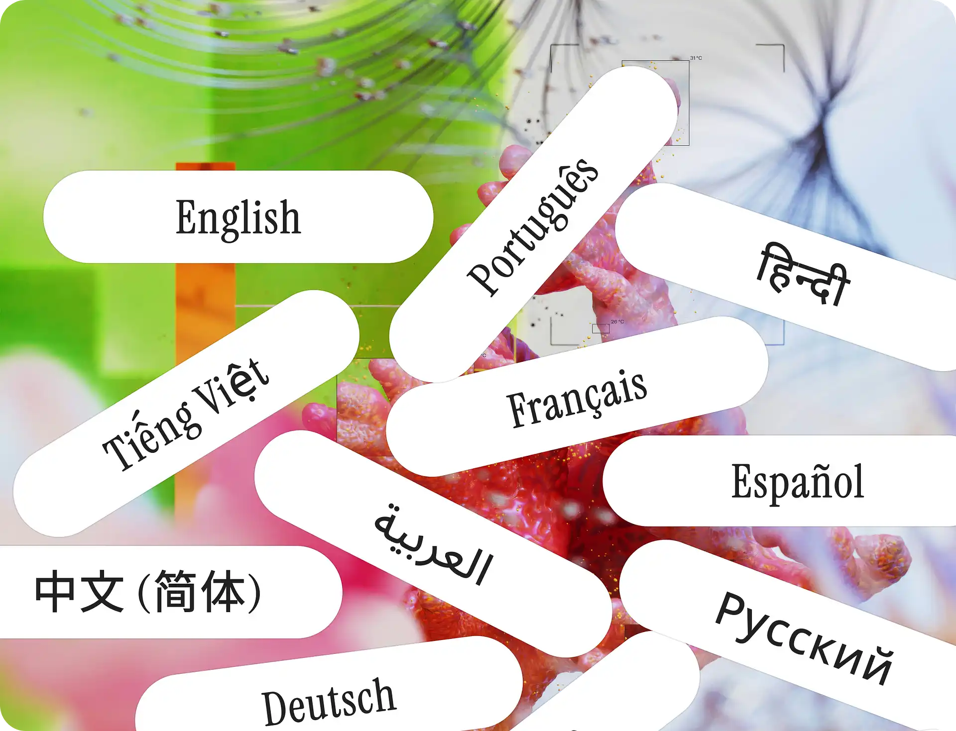 Multi-language support dashboard